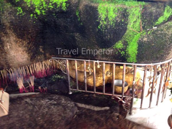 14397291_1280319752001384_2123081570_n